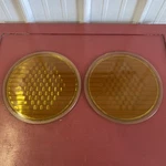 Vintage Corning Conophore Amber Yellow Glass Headlight Lens Pair 10 1/2" X 9. Fixed Price $49.99.