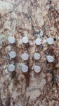 Kenwood KA601/6011/701/7011 Knobs (K23-0309-04). Fixed Price $25.00.