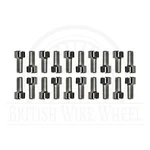 Chrome Face Plate Screws For Zenith Locking Knock Off Spinner Caps Lowriders. Fixed Price $85.00.