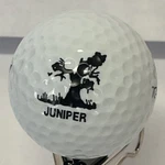 Vintage Juniper Golf Course Logo White Ball - TC2 Tour Wilson Distance. Fixed Price $9.95.