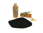 Inspection Kit For Peugeot Engines Ac Elyseo Zenith 50. Fixed Price $29.57.