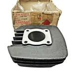 Brand New Open Box Oem Kawasaki KE100 Cylinder Jug 1983-2001 11005-1006. Fixed Price $863.99.