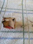 Rca Germanium Power Transistor Pn 116034 Nos. Fixed Price $9.94.